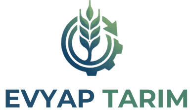 Evyap OCT